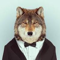 Аватар для Wolfster