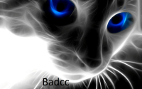 Аватар для badcc