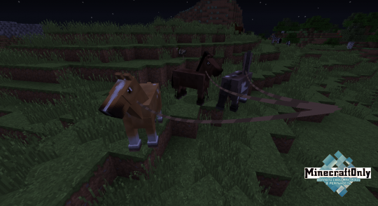 А в моде Mo'Creatures есть свои лошади.