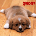 Аватар для Qwony