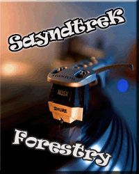 Аватар для SayndtreK