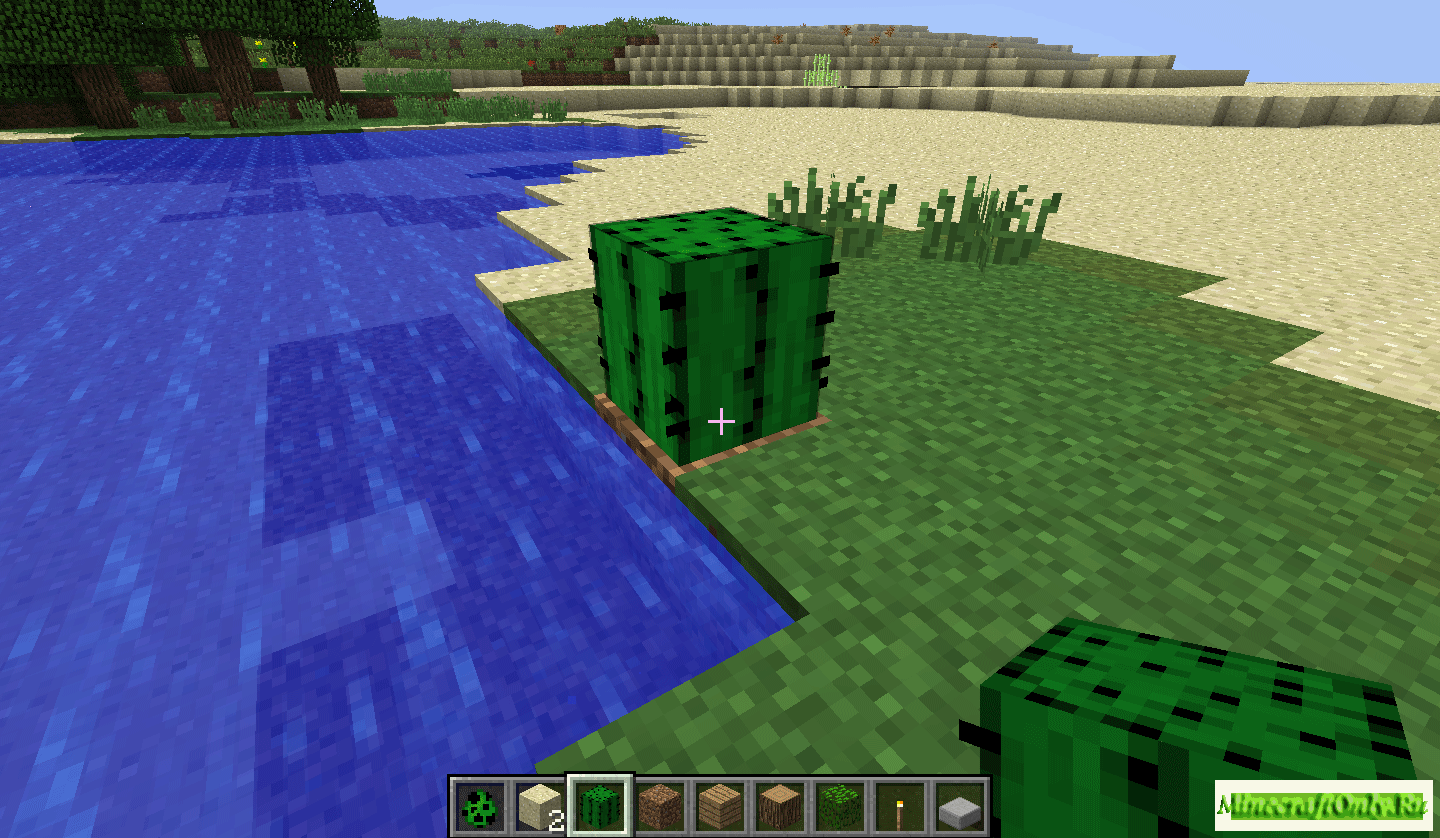 Cactus can only grow on dirt [1.2.5]