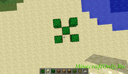 Cactus can only grow on dirt [1.2.5]