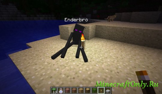 EnderBro+ [1.2.5]