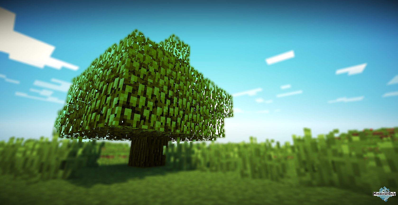 Все о дереве в Minecraft