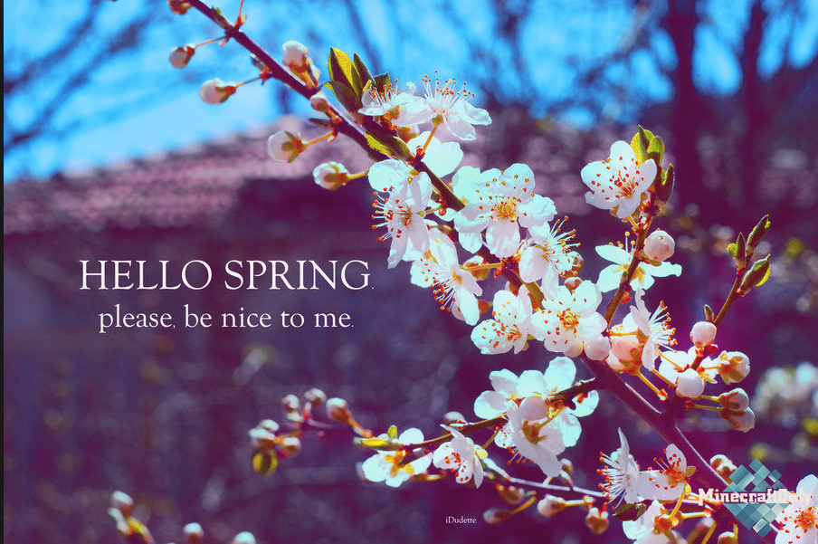 Песни про весну на английском. Весеннее настроение. Хеллоу спринг. С первым днем весны.
