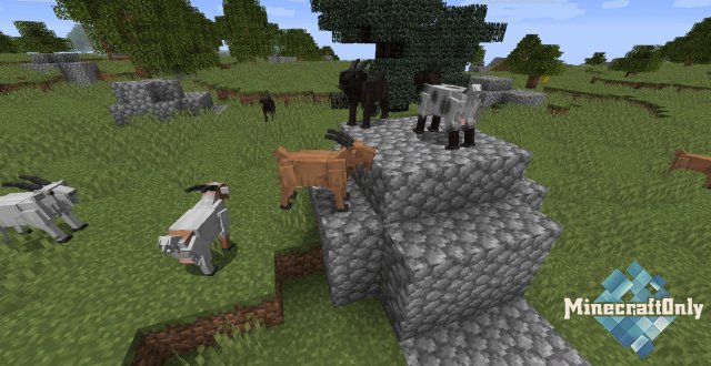 Better Animal Plus — Животные в Minecraft [1.12.2 – 1.13.2]