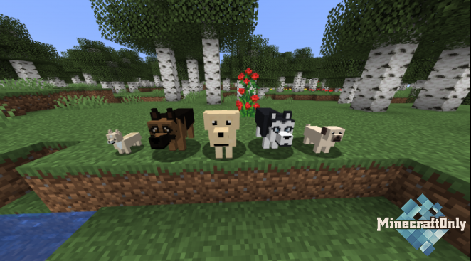 More Dogs [1.14.4]