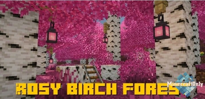 Rosy Birch Forest