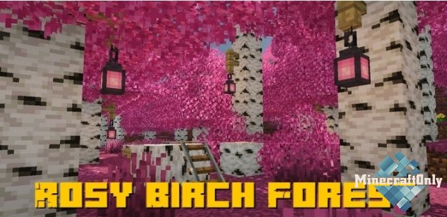 Rosy Birch Forest